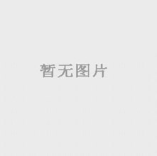 上海良平機械天平TG628A 